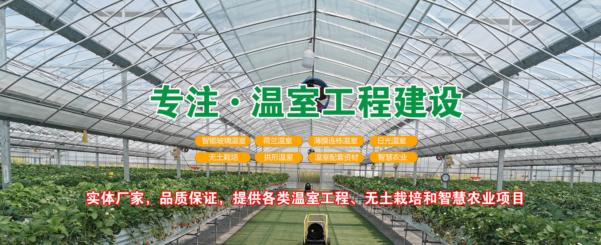 專注溫室工程建設(shè)